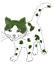 INKI MINKI (Velvet Kitten with Green Dalmation Spots)